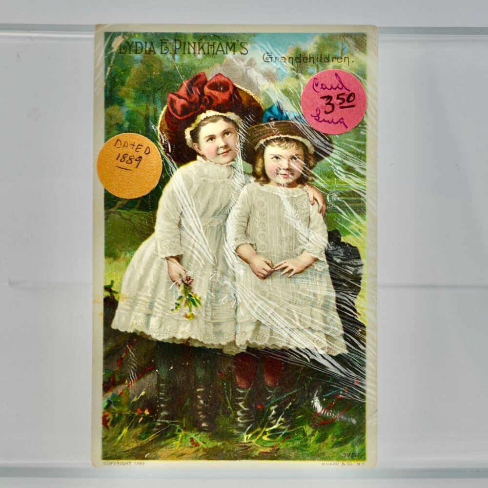 1889 Lydia E Pinkham's Grandchildren Victorian Trading Card